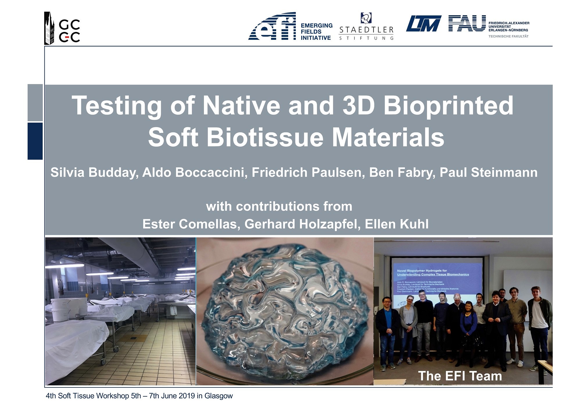 Towards entry "Prof. Paul Steinmann presents EFI vision at the Soft Tissue Modelling Workshop"