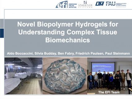 Towards entry "2nd EFI meeting at the Biophysics Group"